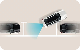 Remote Smart Parking Assist (RSPA)
