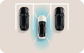 Surround View Monitor (SVM)