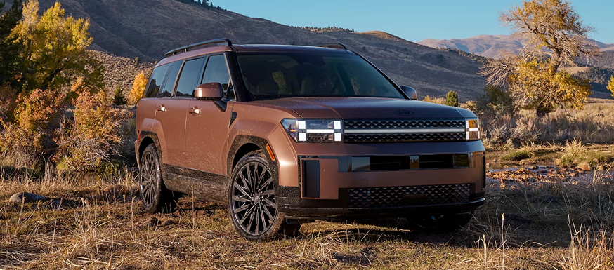 Yes, we have a hybrid in the family. 