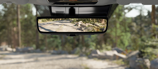 See what’s back there, way up here. Easy