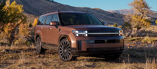 Yes, we have a hybrid in the family. 