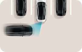 Rear Cross-Traffic Collision-Avoidance Assist (RCCA)