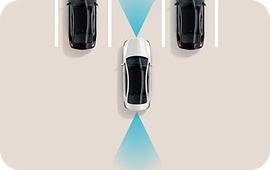 Remote Smart Parking Assist (RSPA)