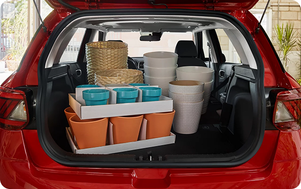 Confident flexibility