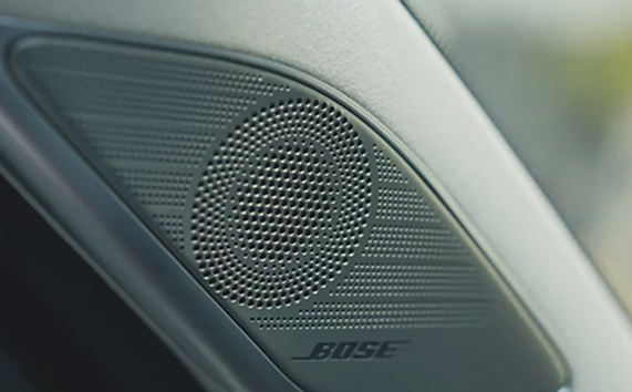 A Bose speaker grille set into the Palisade door panel