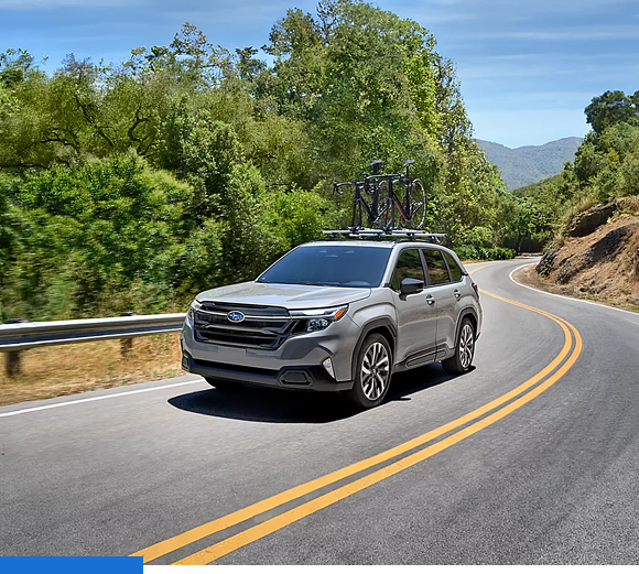 Stability and Control