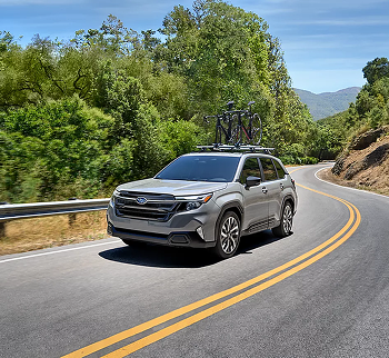 Stability and Control