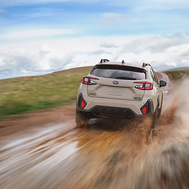 Capability and Efficiency