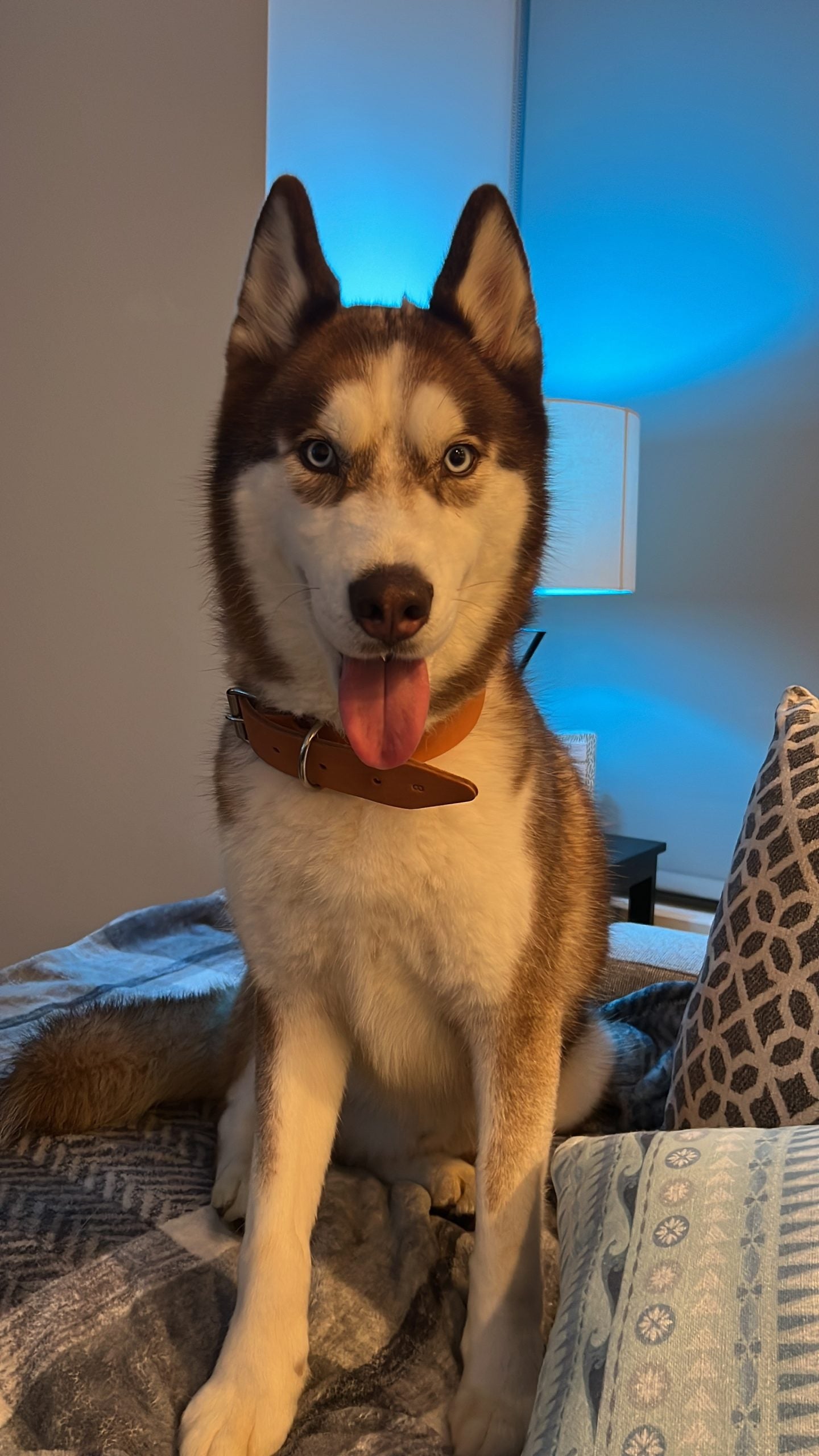 Max