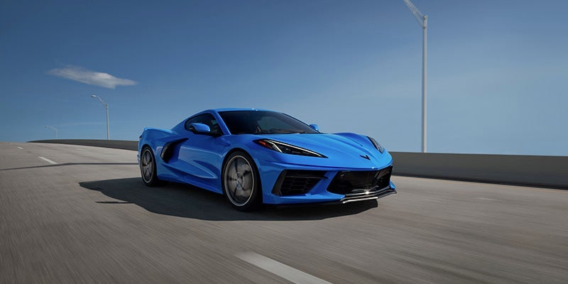 stingray01 (17)