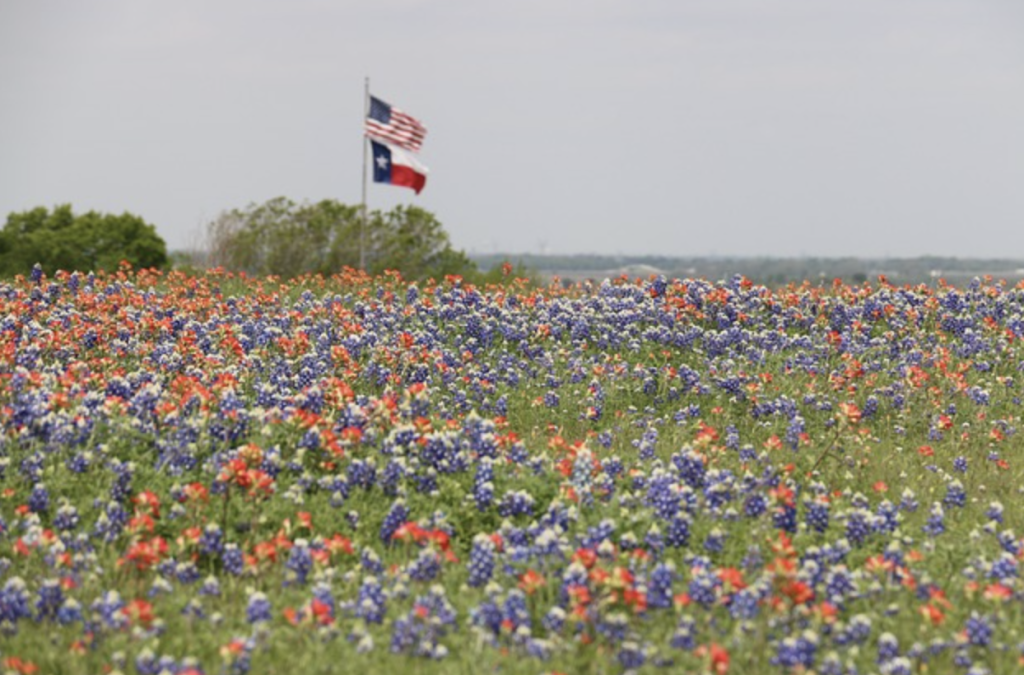 Spring Car Care Tips Near Me in Pleasanton, TX
