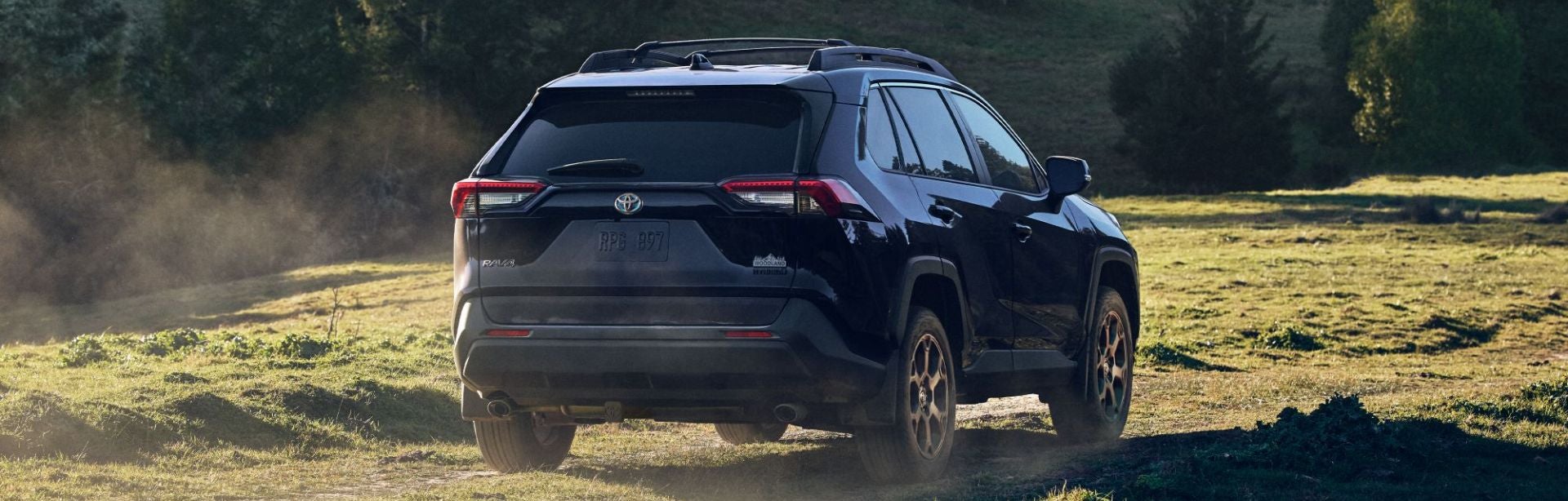 RAV4 hybrid 2024