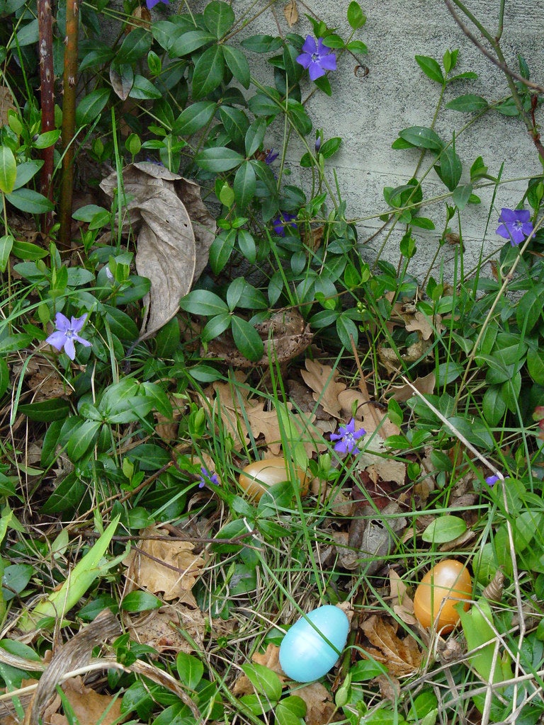 5 Ways To Celebrate Easter in Arlington