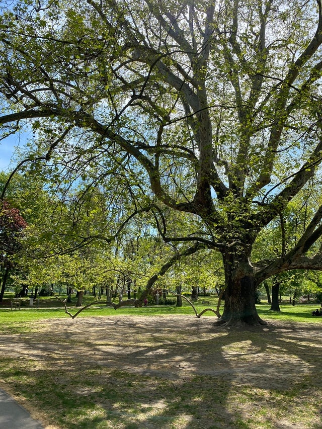 State Parks near Dublin, OH