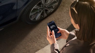 The Lincoln Way app*
