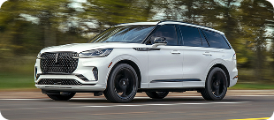 Standard adaptive suspension