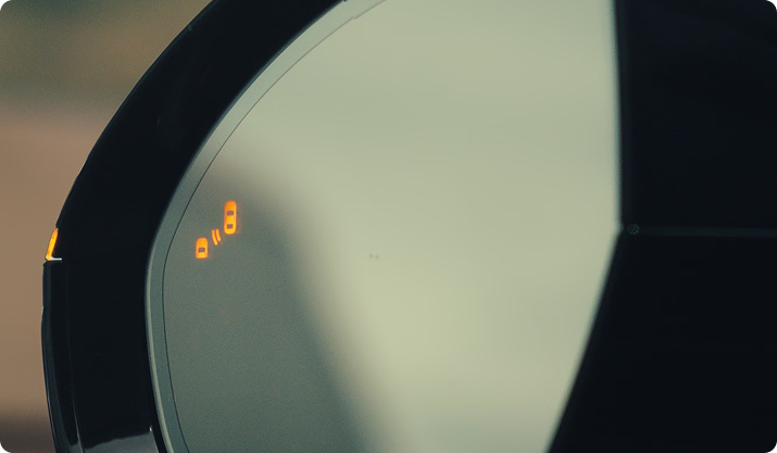 Blind Spot Information System