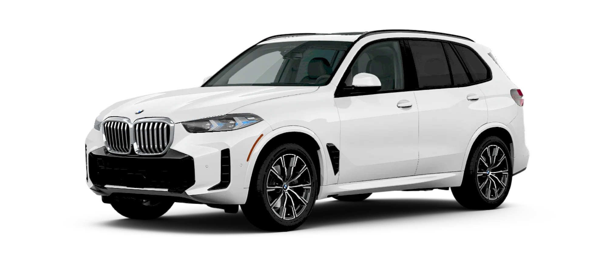 X5 Sports Activity Vehicle