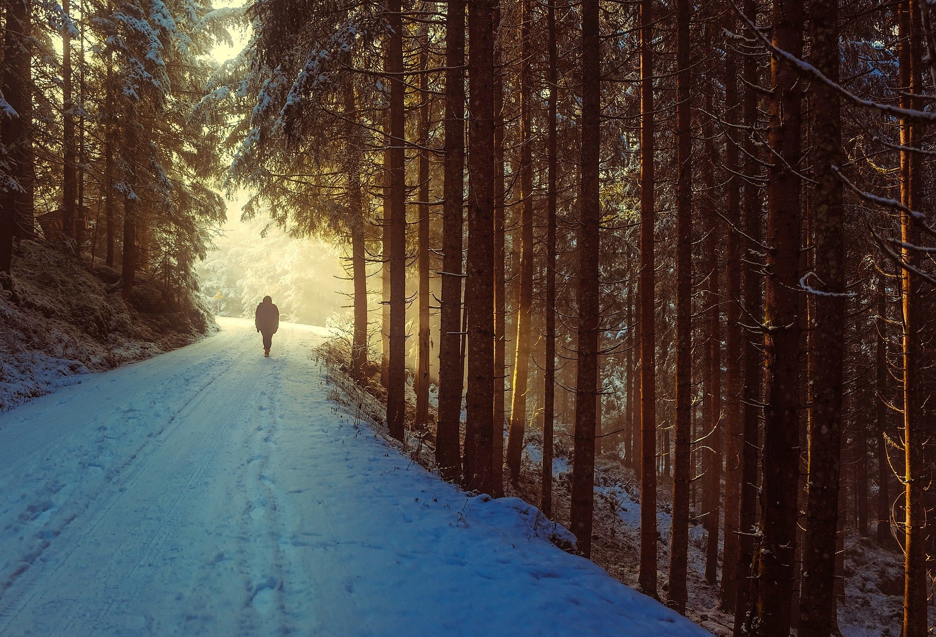 A man hiking through a snowy path in the forest