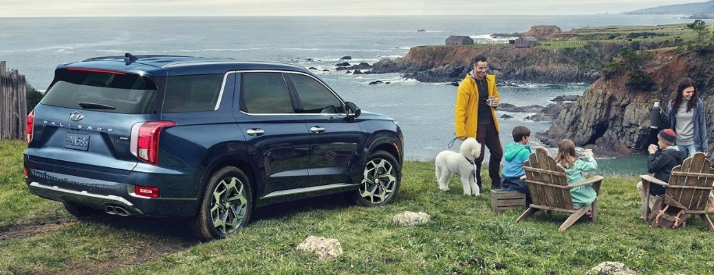Blue 2021 Hyundai Palisade near water