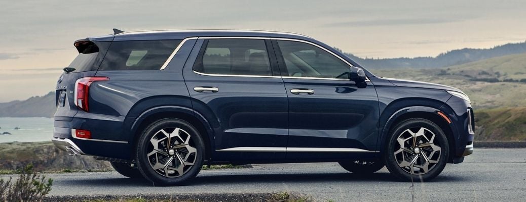 2022 Hyundai Palisade Side View
