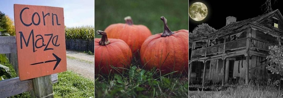 Sign for Corn Maze, Pumpkins on Grass and Haunted House at Night