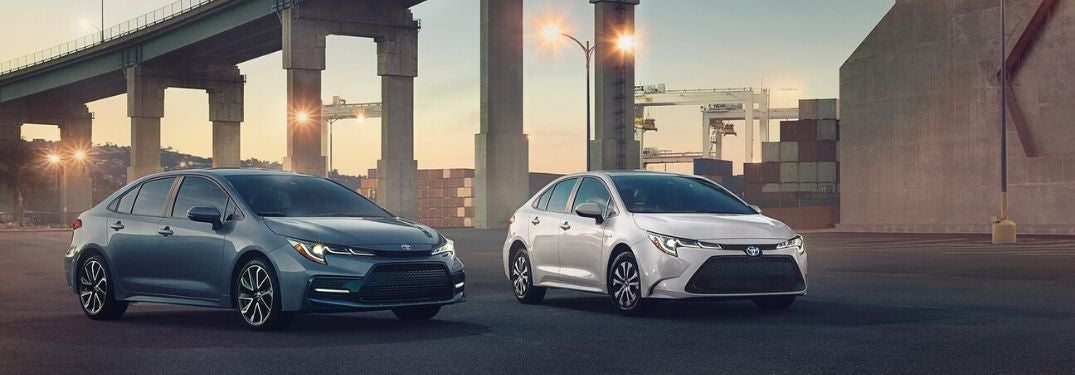 Blue and White 2020 Toyota Corolla Models in a Parking Lot