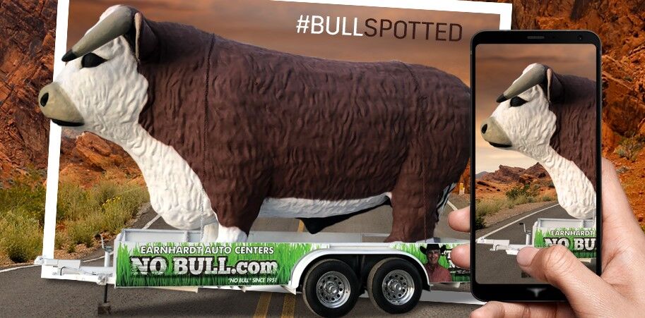 #BullSpotted""