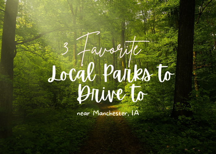 local parks in manchester, ia