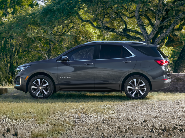 A silver SUV parked by trees outdoors