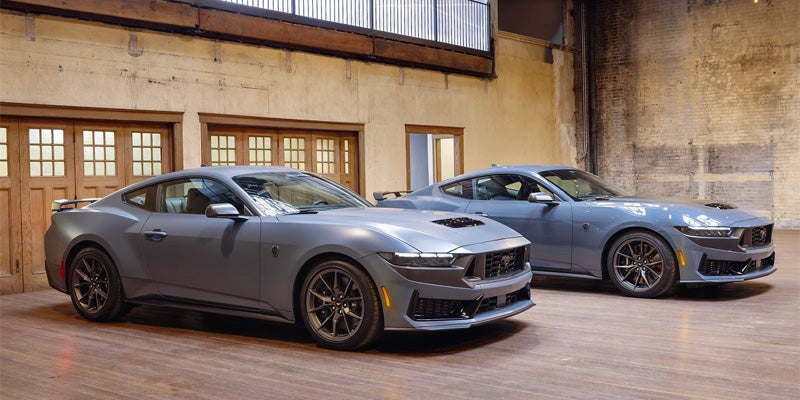 ford mustangs
