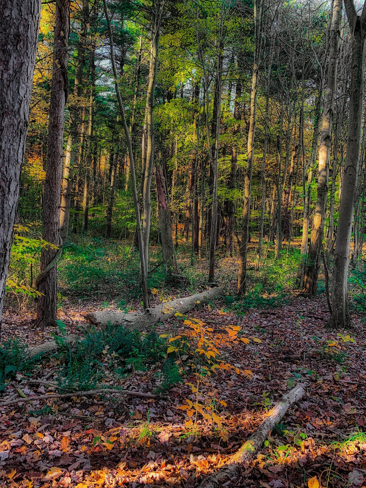 4 Amazing State Parks