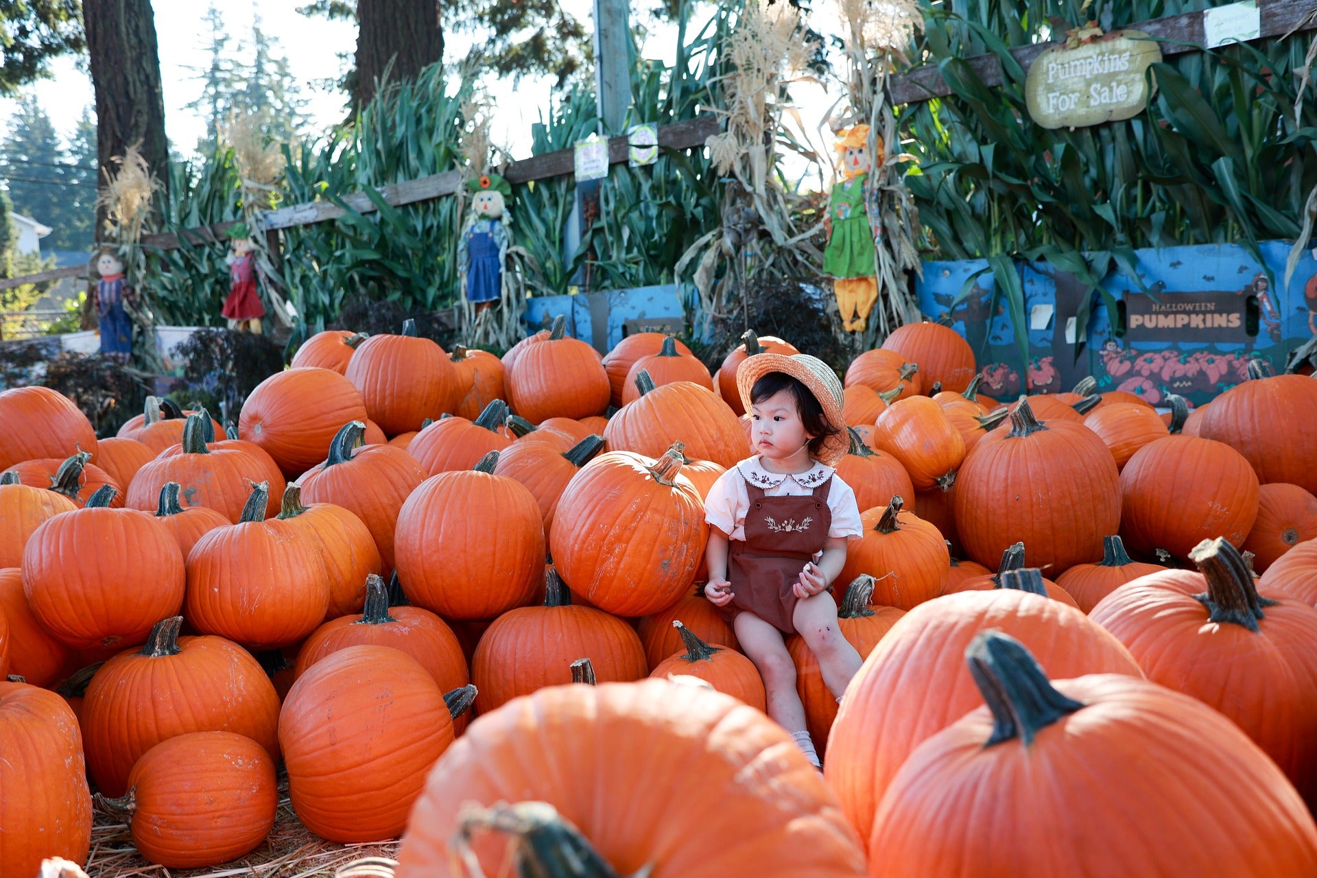 5 Fun Fall Activites