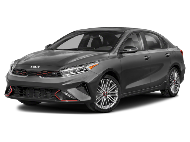 Kia Forte Gray