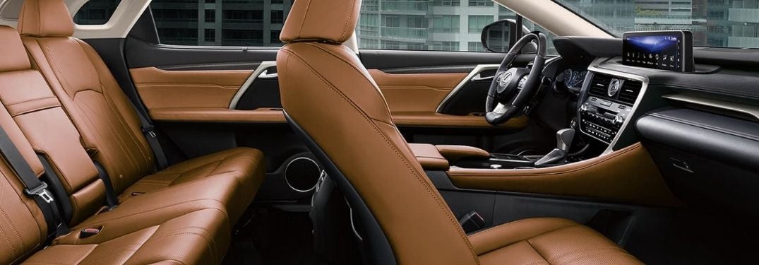 Cutaway View of 2021 Lexus RX Interior