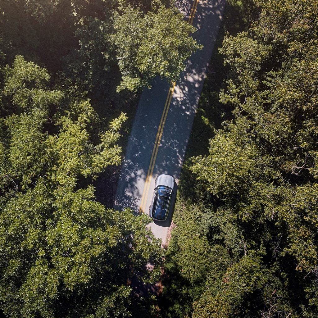 Lincoln driving on the road in the forest
