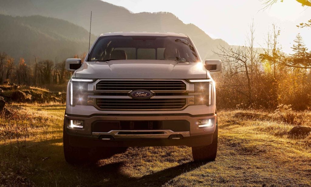 Silver Ford F-150 parked in a grass field