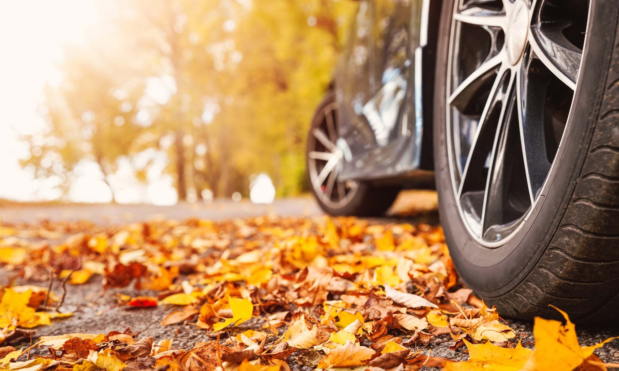 Fall-Vehicle