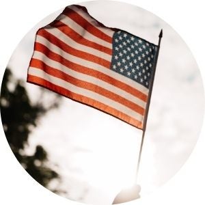 hand Holding an American Flag in the Sun
