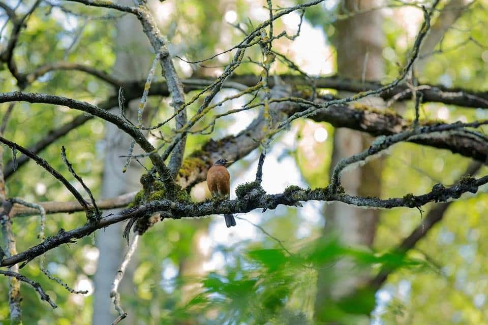 Tualatin River National Wildlife Refuge