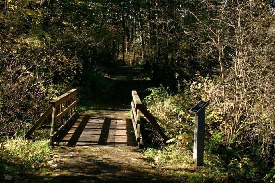 Magness Memorial Tree Farm