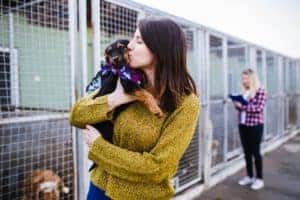 Dog Shelter Tualatin OR 