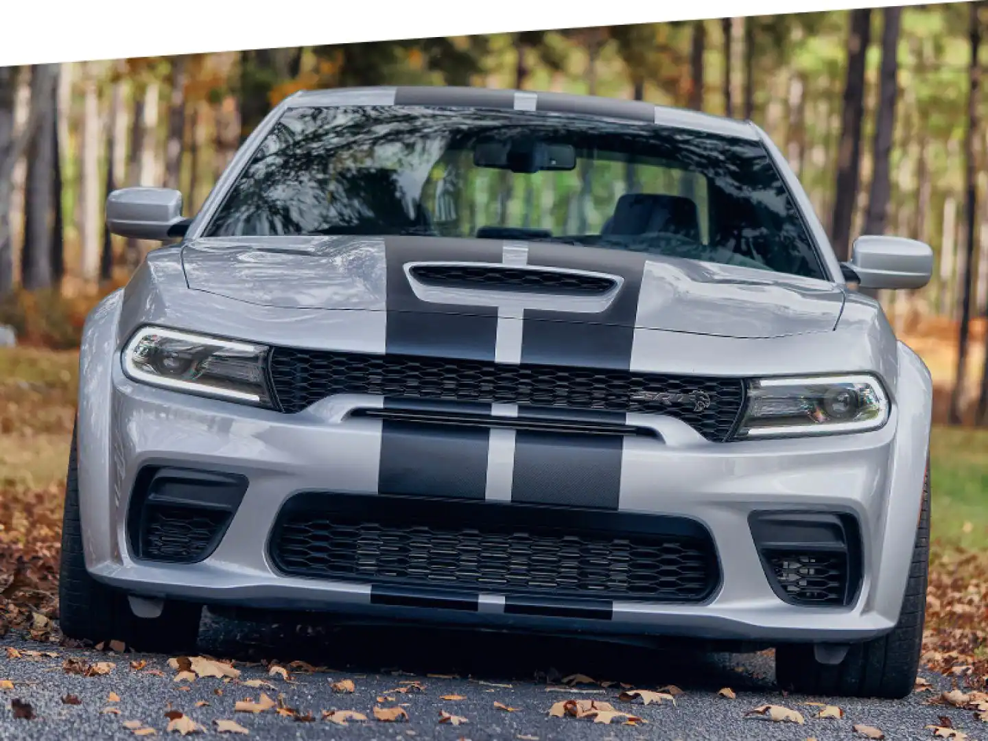 2022 Dodge Charger dual stripe