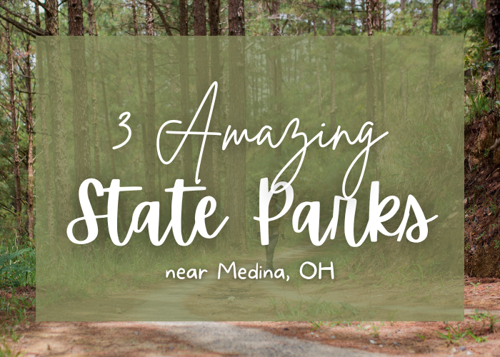 Medina, OH state parks
