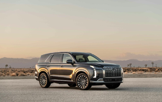 Hyundai Palisade parked on a bay area California cliffside.