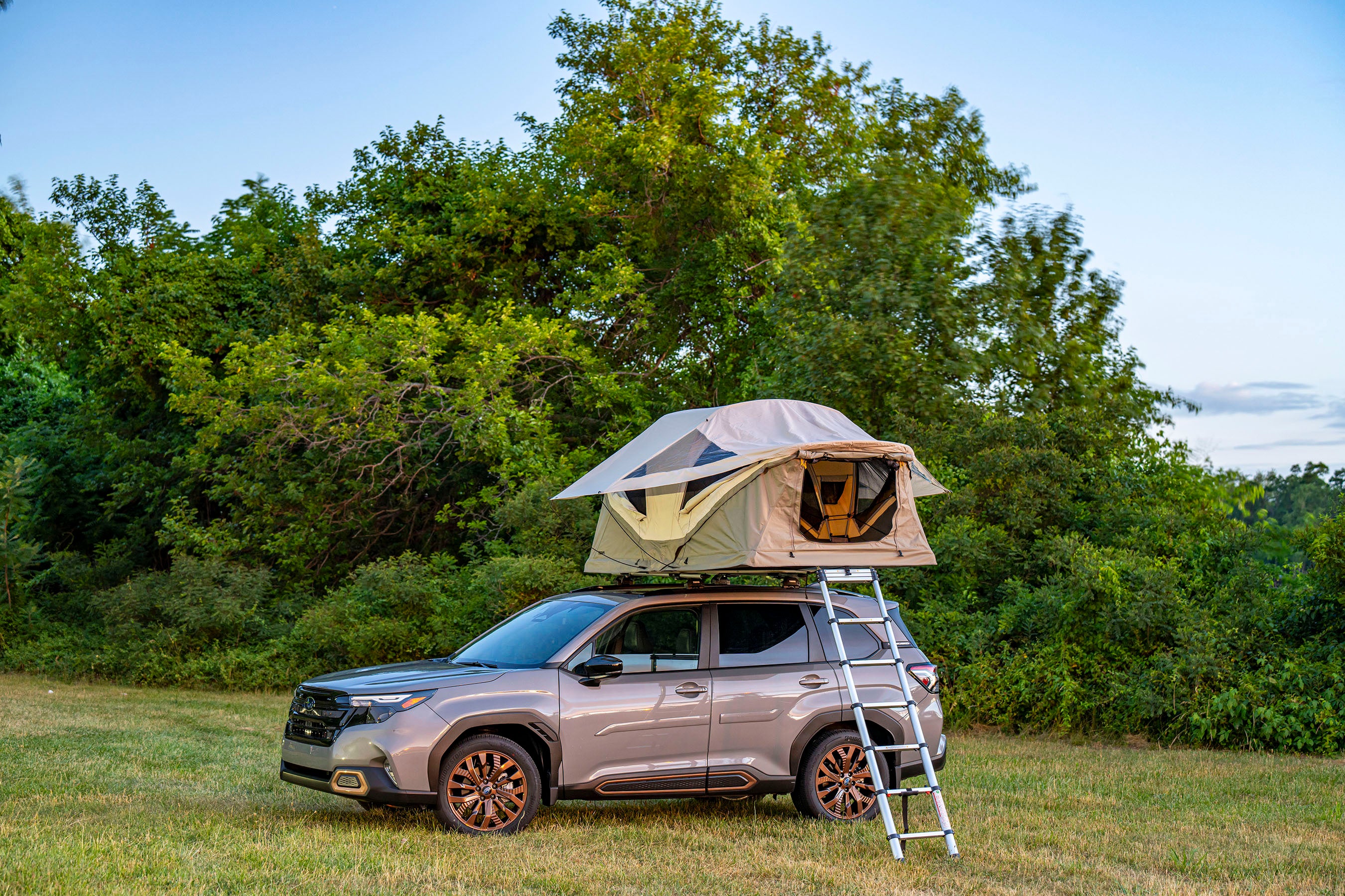 A tan Subaru Forester with a rooftop tent and ladder parked in a grassy field with trees.