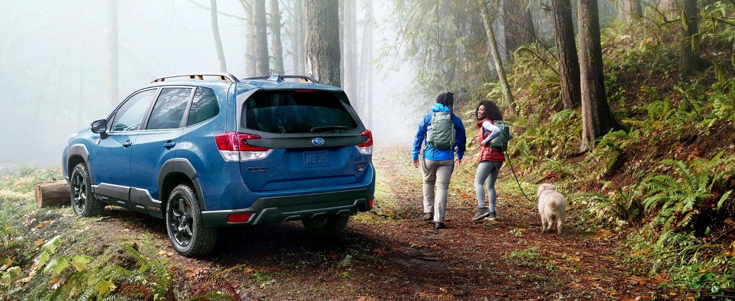 2024 Subaru Forester Wilderness