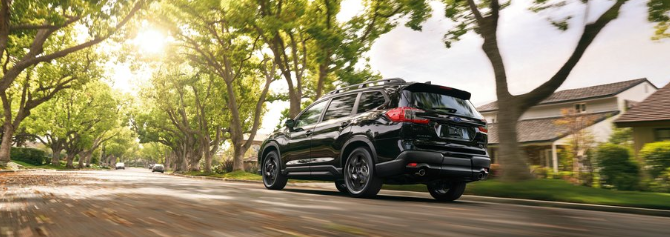 Unlimited Rear 7/8 driver's side beauty action rig "Through the Trees" captured in tree-lined suburban neighborhood.