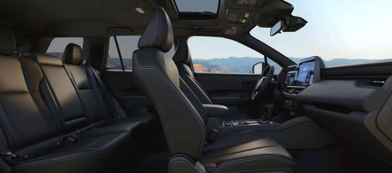 Outback Interior Profile Buck - Limited
