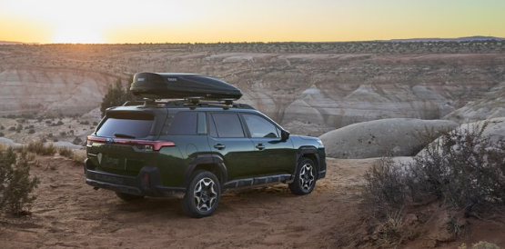 outback sitting in desert on mountain